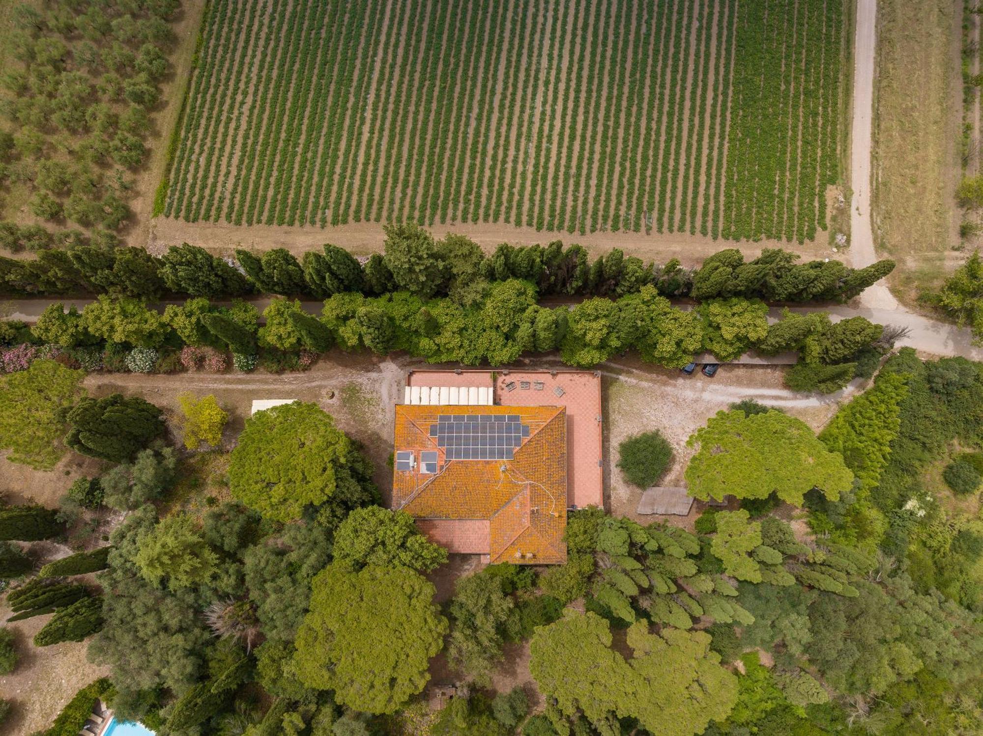 Villa I Tigli Campiglia Marittima Exterior photo